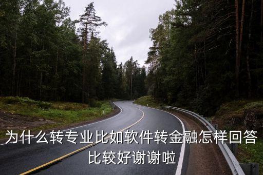 為什么轉專業(yè)比如軟件轉金融怎樣回答比較好謝謝啦