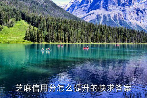怎么提高芝麻信用分5分，支付寶的芝麻信用分怎么才能提高