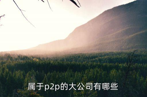 屬于p2p的大公司有哪些