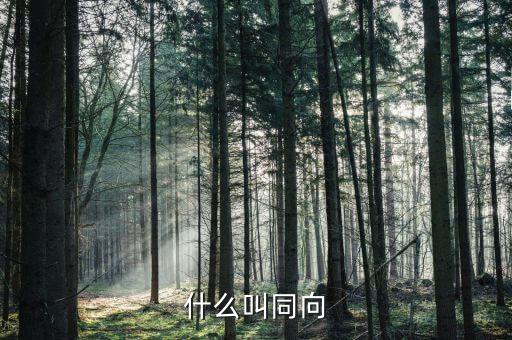 什么叫同向