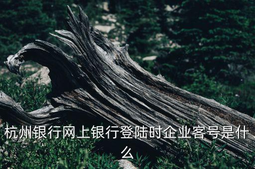 信用社企業(yè)網(wǎng)銀登陸企業(yè)號(hào)是什么，農(nóng)村信用社網(wǎng)上銀行用戶登錄的時(shí)候帳號(hào)是啥