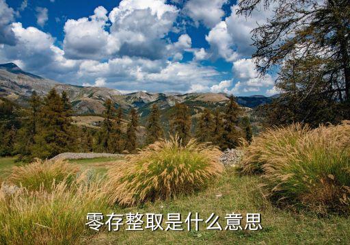 零存整取是什么意思
