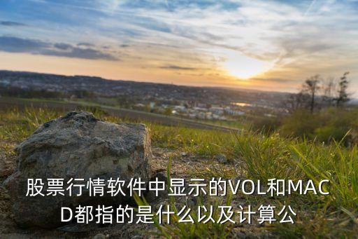 股票行情軟件中顯示的VOL和MACD都指的是什么以及計(jì)算公