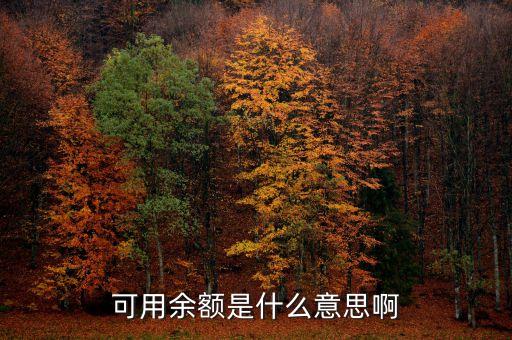 可用余額余額是什么意思，可用余額是什么意思