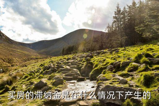 買(mǎi)房的滯納金是在什么情況下產(chǎn)生的