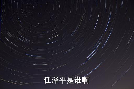 任澤平是誰啊