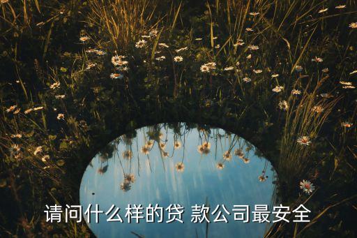 請(qǐng)問什么樣的貸 款公司最安全