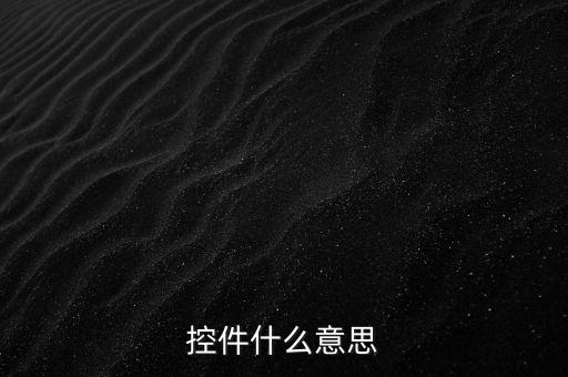 控件什么意思