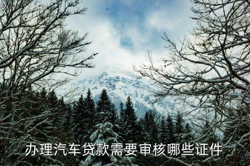 車貸放款審核什么，辦理汽車貸款需要審核哪些證件