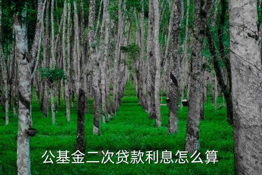 公基金二次貸款利息怎么算