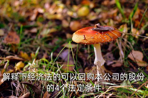 解釋下經(jīng)濟法的可以回購本公司的股份的4個法定條件