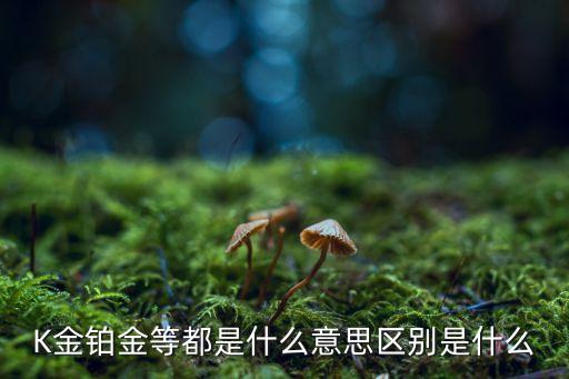 K金鉑金等都是什么意思區(qū)別是什么