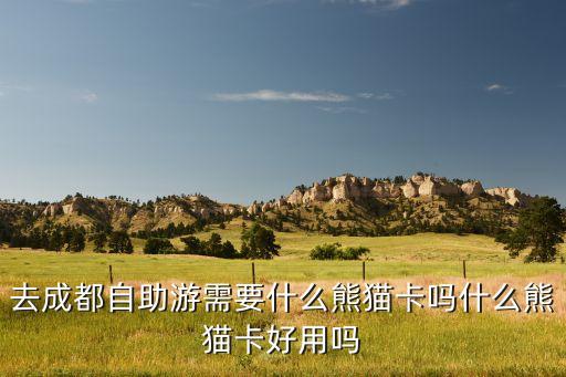 成都旅游用什么信用卡嗎，成都有什么好卡啊