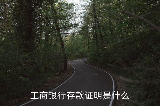 工商銀行存款證明是什么