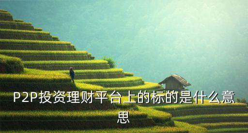 理財(cái)標(biāo)的是什么意思啊，理財(cái)發(fā)標(biāo)是什么意思