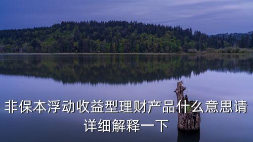 非保本浮動(dòng)收益型理財(cái)產(chǎn)品什么意思請?jiān)敿?xì)解釋一下