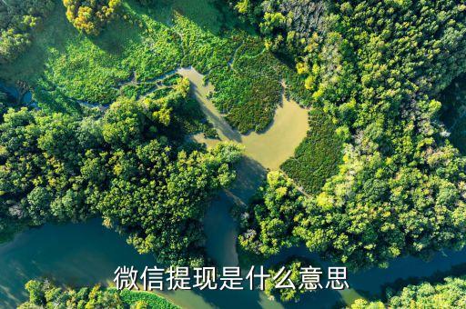 微信提現(xiàn)短信是什么意思啊，別人打錢給我短信通知提現(xiàn)是什么意思