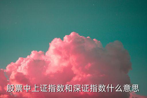 股票中上證指數(shù)和深證指數(shù)什么意思