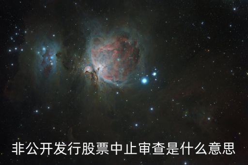 中止審查是什么意思，非公開發(fā)行股票中止審查是什么意思