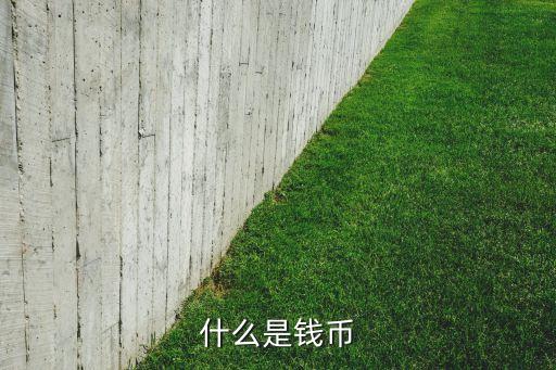 什么是錢(qián)幣
