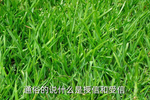 通俗的說什么是授信和受信