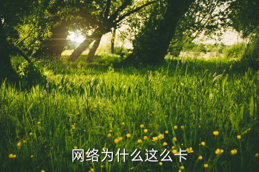 為什么網(wǎng)絡(luò)這么卡，上網(wǎng)總是卡是怎么回事