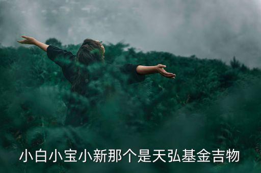 小白小寶小新那個(gè)是天弘基金吉物