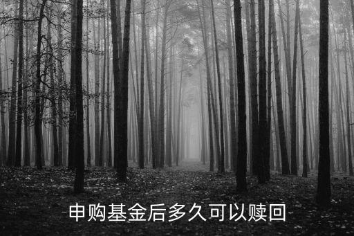 申購基金后多久可以贖回