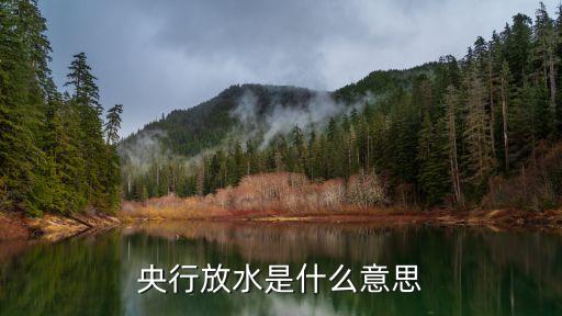 央行放水是什么意思，央行放水什么意
