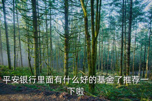 平安銀行基金買什么好，平安銀行里面有什么好的基金了推薦一下啦