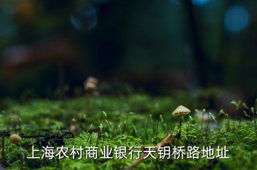 農(nóng)行上海什么橋支行，上海北橋農(nóng)業(yè)銀行