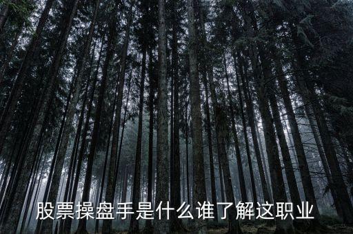 股票操盤手是什么誰了解這職業(yè)