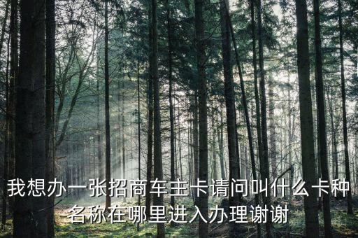 招商車主信用卡叫什么，招商車主卡是普卡還是金卡