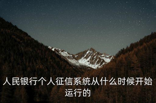 人民銀行個人征信系統(tǒng)從什么時候開始運行的