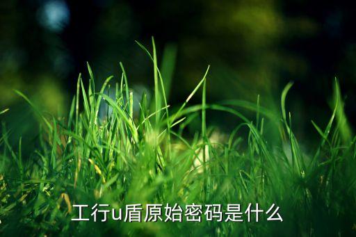 手機工行通用u盾原密碼是什么，工行u盾原始密碼是什么