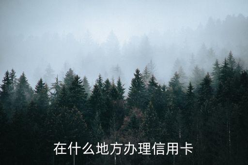 信用卡在什么地方辦，在什么地方辦理信用卡