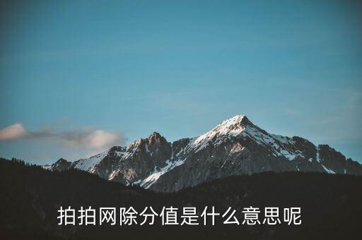 拍拍網(wǎng)除分值是什么意思呢