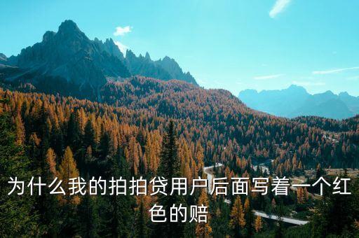 拍拍貸包賠標(biāo)是什么，拍拍貸審錯就賠付標(biāo)是什么意思