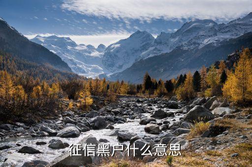 征信黑戶什么意思