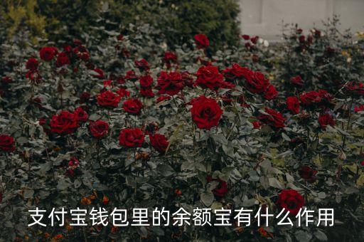 支付寶錢(qián)包里的余額寶有什么作用
