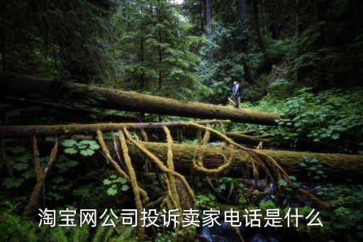 網(wǎng)投公司是什么公司電話號碼，請問北京服務(wù)電話為01052241546的信投公司的全稱叫什么向這樣的