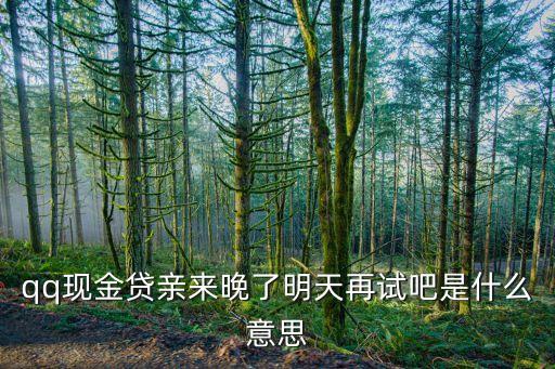 qq現(xiàn)金貸親來(lái)晚了明天再試吧是什么意思
