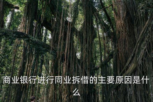 商業(yè)銀行進(jìn)行同業(yè)拆借的主要原因是什么