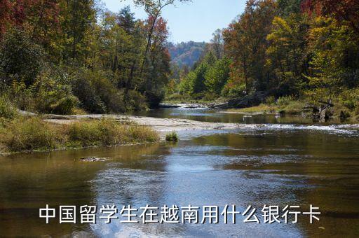 去越南用什么信用卡，越南可不可以用招商銀行或中信銀行銀聯(lián)信用卡
