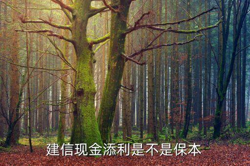 建信現(xiàn)金添益什么意思，建信現(xiàn)金添利是不是保本