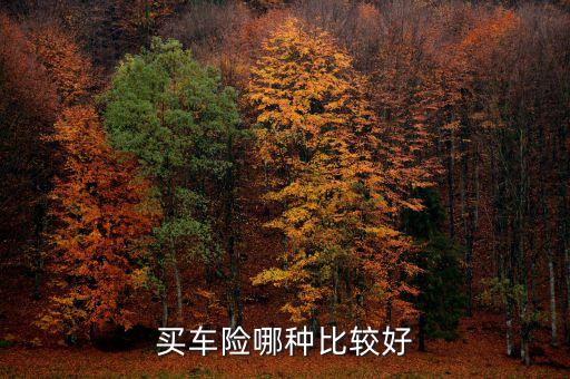什么車險比較好，車險買什么好