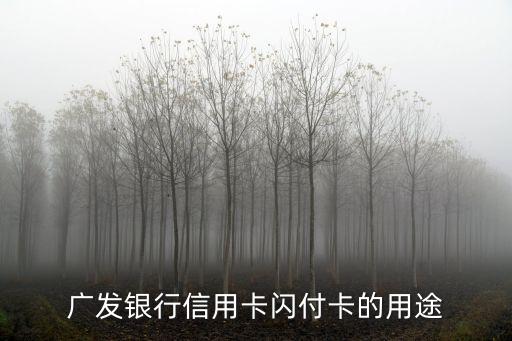 廣發(fā)信用卡有什么產(chǎn)品，什么是廣發(fā)理財(cái)卡