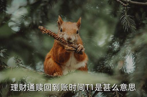 到賬時(shí)間t 1是什么意思，星期四提現(xiàn)t 1到賬是什么意思