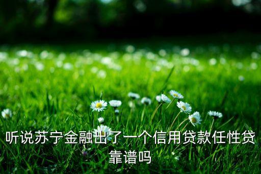 聽(tīng)說(shuō)蘇寧金融出了一個(gè)信用貸款任性貸靠譜嗎