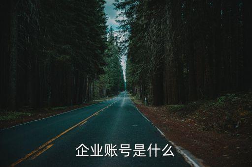企業(yè)賬號(hào)是什么